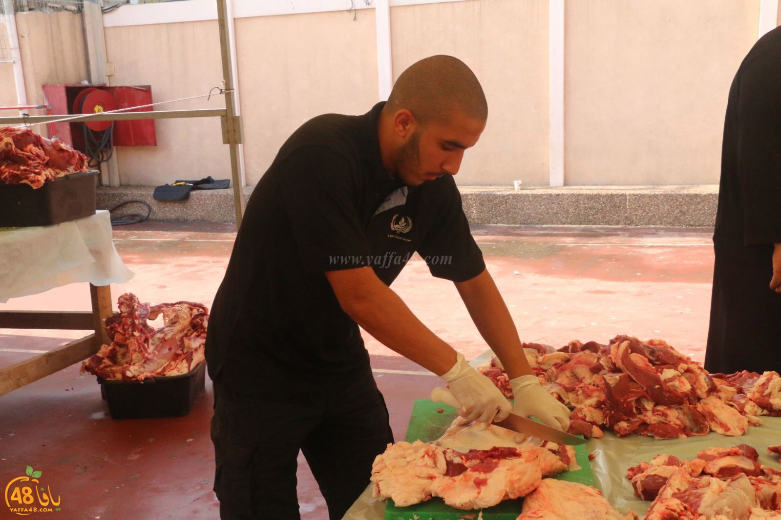 lo7om jam3iya u3 (14).jpg